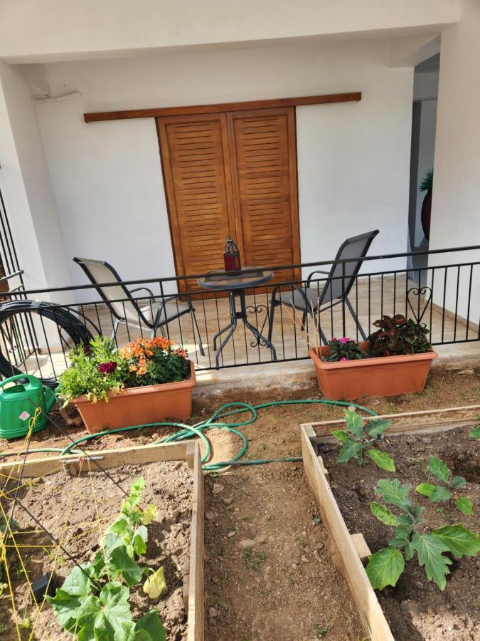 Cozy Apartment In Nea Kios Zewnętrze zdjęcie